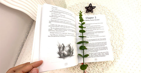 Draco Malfoy and The Mortifying Ordeal Of Being In Love – Dramione Fanfiction Novel by isthisselfcare, Hardcover Edition - WizyBook