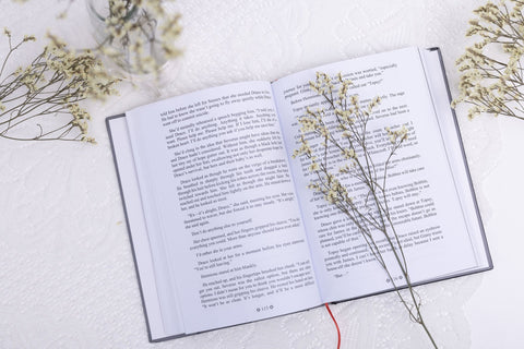 Manacled Deluxe 3 - Volume Book Set – Illustrated Editions, Complete Series with Poster Gift Set - WizyBook