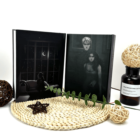 The Auction by LovesBitca8 – Complete Hardcover Set (Rights & Wrongs) | Dramione Fanfiction | 2 Volumes + Exclusive Poster - WizyBook